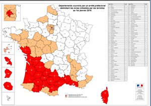 Carte infestation termites MAINE ET LOIRE